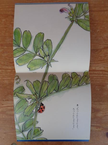 ぼくねえてんとうむし(石部虎二構成・絵 ; 奥本大三郎文) / 古本、中古