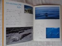 コククジラの旅