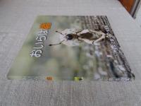 浅名正昌写真集「おいらは蟲」