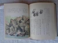 山は屋上より