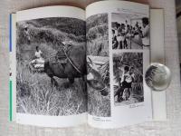 子どもたちの12章 : 写真集