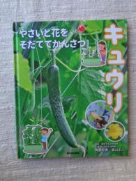キュウリ (やさいと花をそだててかんさつ)