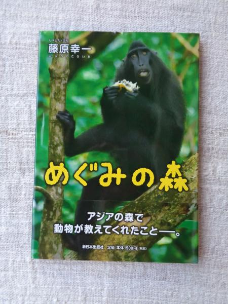 幼児の生活指導 「ひかりのくに」昭和35年10月号(第15巻第10号
