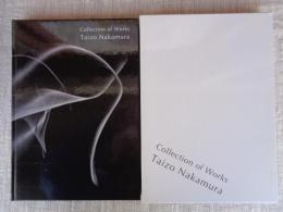ポスタリゼーション作品集　Collection of Works  Taizo Nakamura