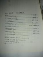 佛教藝術 290号 2007年1月号 ●高松塚・キトラ古墳壁画、ほか (東洋美術と考古学の研究誌)
