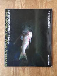 軌跡の瞬間・前川貴行の世界　THE WORLD OF WILD ANIMALS  (平成19年度秋期特別展