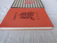 縄 : 長篇推理小説