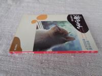 海ちゃん : ある猫の物語 (新潮文庫)　サイン、カット有り。