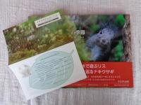 北海道リスとナキウサギの季節　※署名落款あり