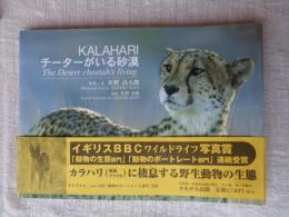Kalahariチーターがいる砂漠