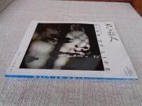 風の旅人 2006年10月 vol.22 特集：FIND THE ROOT「世界」と「人間」のあいだ　SIGN OF LIFE 永遠の現在