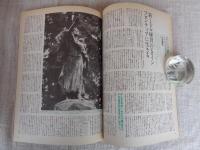 インディアンの生き方 : ネイティブ・アメリカン 　(mono特別編集)