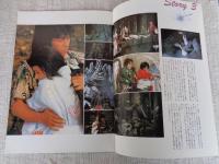 里見八犬伝　(映画パンフレット)
