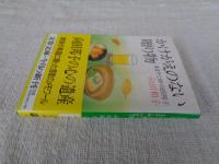 かけがえのない贈り物 : ままやと姉・向田邦子