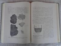 日本古代農業発達史