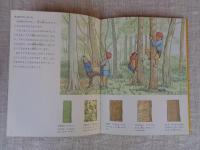 木のぼり入門