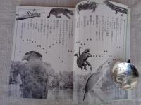 子どもとはじめる自然<冒険>図鑑 ⑩
