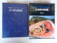 魚類解剖図鑑