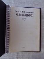 魚類解剖図鑑