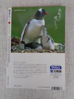 東京人1994年9月号 (no.84) ●特集「やっぱし、落語だ！」高田文夫・企画 構成　●インタビュー：小沢昭一