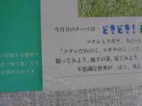 つくし