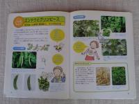 野菜 : 草と野菜、どうちがうの?