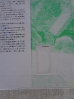 野菜 : 草と野菜、どうちがうの?