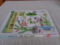 花のつくりとしくみ観察図鑑