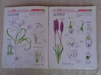 花のつくりとしくみ観察図鑑