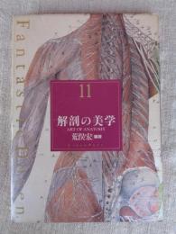 解剖の美学