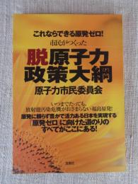 これならできる原発ゼロ!市民がつくった脱原子力政策大綱