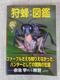 狩蜂生態図鑑 : ハンティング行動を写真で解く
