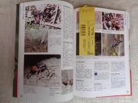 狩蜂生態図鑑 : ハンティング行動を写真で解く
