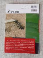 狩蜂生態図鑑 : ハンティング行動を写真で解く