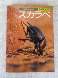 スカラベ : 写真昆虫記