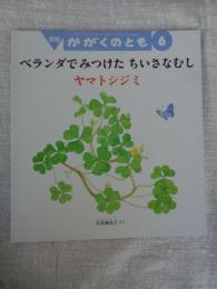 ベランダでみつけた ちいさなむし : ヤマトシジミ （かがくのとも 531号）