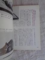 水石: 鑑賞石のすべて