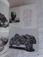 水石: 鑑賞石のすべて