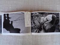 しかし、五木に生きる : 山下俊雄写真集