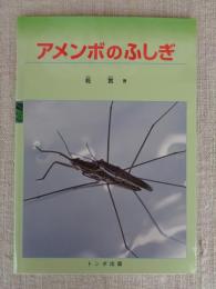 アメンボのふしぎ