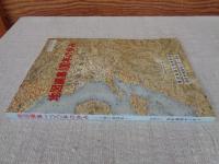地図編集100年の歩み : 小縮尺地図集