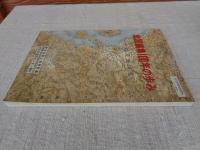 地図編集100年の歩み : 小縮尺地図集