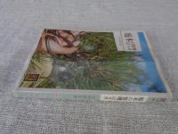 庭木の管理12カ月