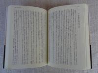 幻の宰相小松帯刀伝