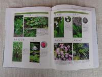 雑木ガーデンのやさしい時間 = Gardening Guide book How to create beautiful garden of trees of nature : 樹木&下草ガイド付き