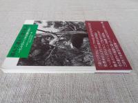 遊んで、遊んで、遊びました : リンドグレーンからの贈りもの