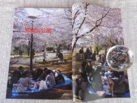 東京人 2011年6月号(no.297)　●特集「歴史で歩く東京の公園」