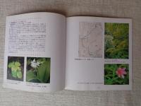 只見の花-フィールド・ガイド