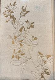 月あかり、町中