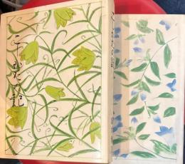 こしかたの記　正・続２冊